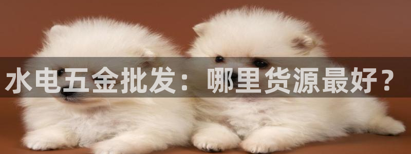 云顶国际会所怎么样