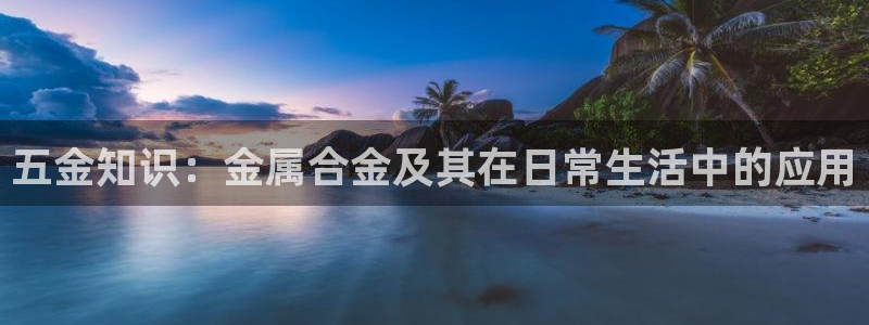 云顶集团游戏app8293