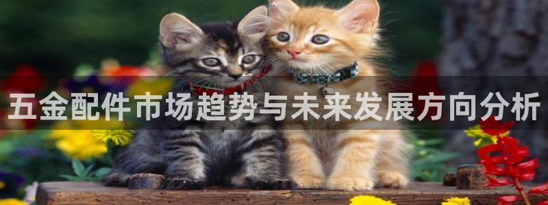 云顶集团进入官网首页