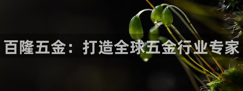 云顶集团简介概况