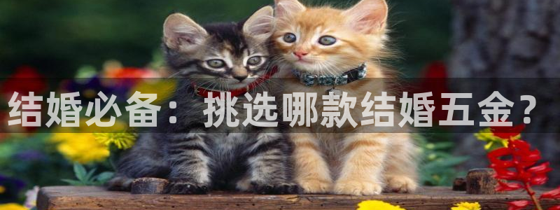 云顶国际提现让你拍身份证