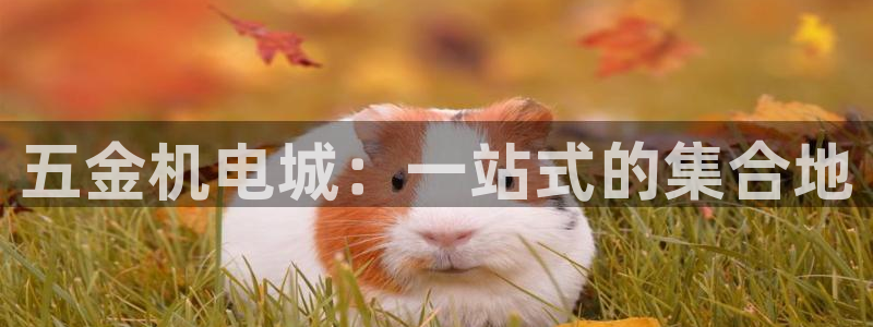 云顶国际酒店电话号码多少