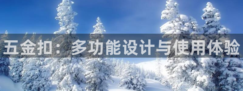 云顶国际集团发展有限公司国内项目总经理
