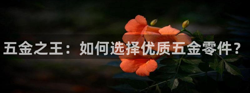 云顶国际大酒店的位置图