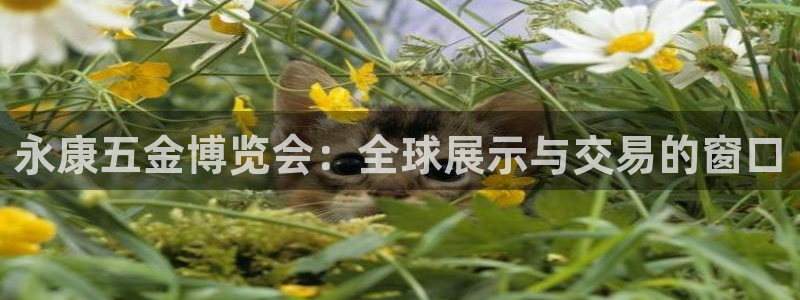 云顶国际会所地址