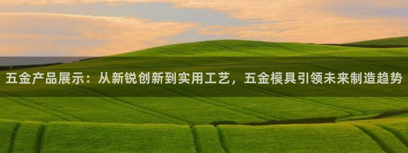 云顶集团有限公司招聘