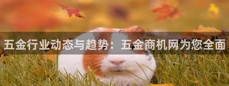 云顶集团董事长林东简历介绍