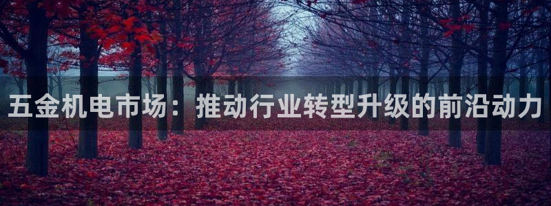 云顶国际电子游戏怎么玩