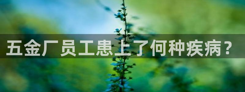 云顶集团有限公司招聘