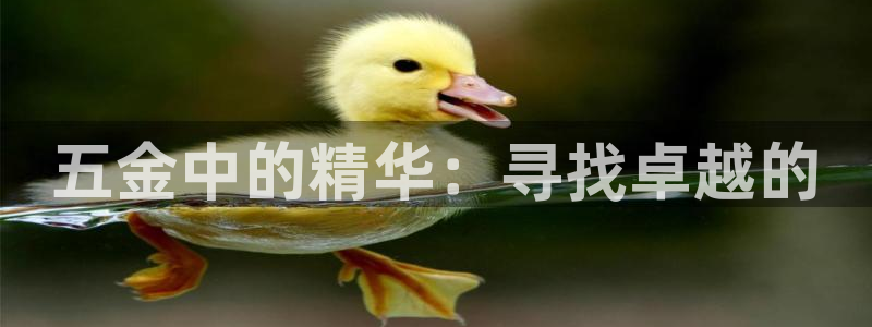 太原云顶国际老板