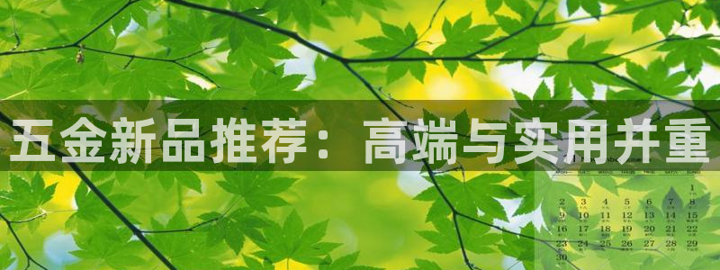 云顶国际大酒店在哪里