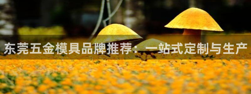 云顶国际服怎么下载