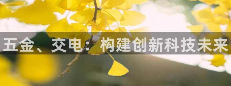 云顶国际官方网站下载