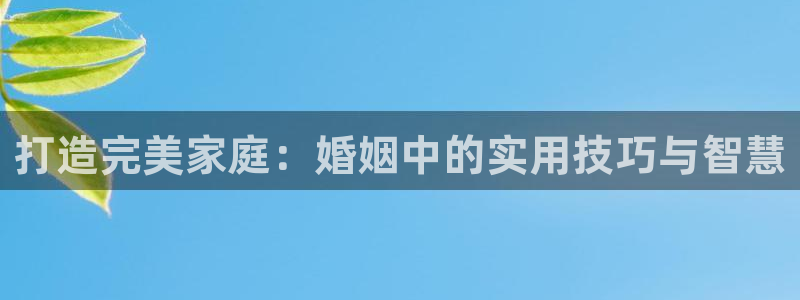 云顶国际麻将胡了多少张牌